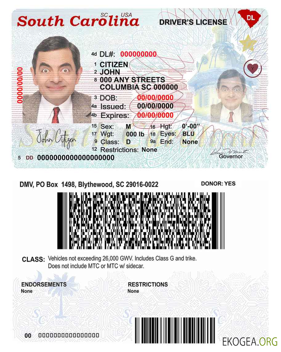 USA South Carolina state driving license template in PSD format (2020 – present)